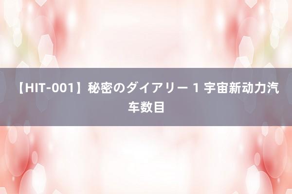 【HIT-001】秘密のダイアリー 1 宇宙新动力汽车数目