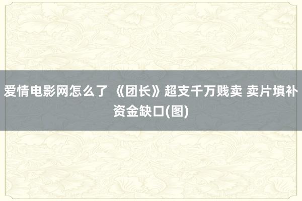 爱情电影网怎么了 《团长》超支千万贱卖 卖片填补资金缺口(图)