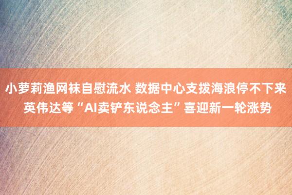 小萝莉渔网袜自慰流水 数据中心支拨海浪停不下来 英伟达等“AI卖铲东说念主”喜迎新一轮涨势