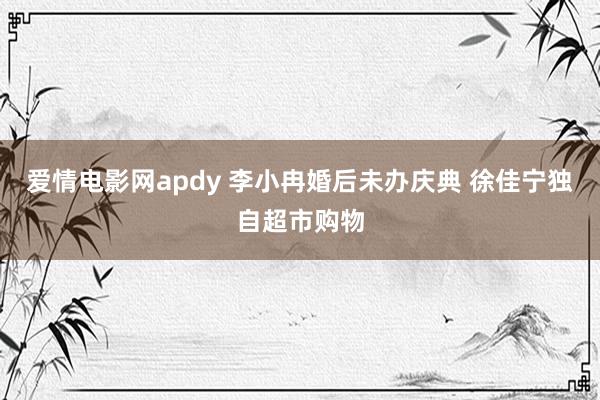 爱情电影网apdy 李小冉婚后未办庆典 徐佳宁独自超市购物