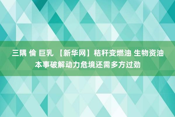 三隅 倫 巨乳 【新华网】秸秆变燃油 生物资油本事破解动力危境还需多方过劲