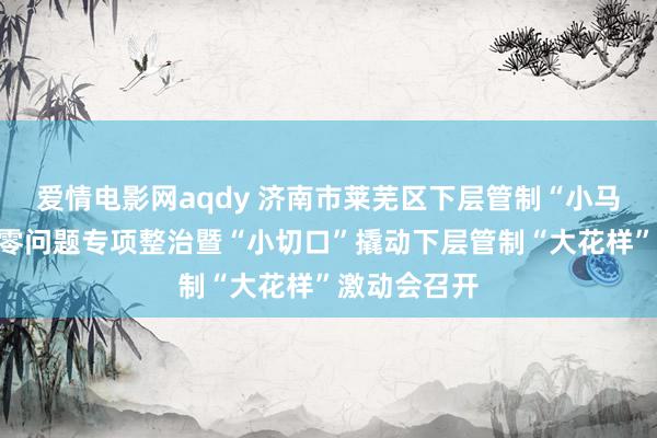 爱情电影网aqdy 济南市莱芜区下层管制“小马拉大车”稀零问题专项整治暨“小切口”撬动下层管制“大花样”激动会召开