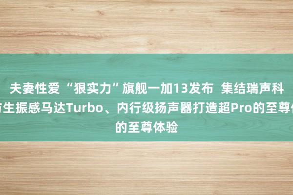 夫妻性爱 “狠实力”旗舰一加13发布  集结瑞声科技仿生振感马达Turbo、内行级扬声器打造超Pro的至尊体验