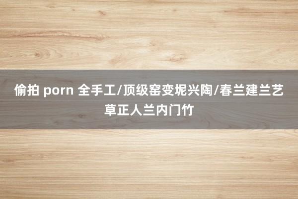 偷拍 porn 全手工/顶级窑变坭兴陶/春兰建兰艺草正人兰内门竹