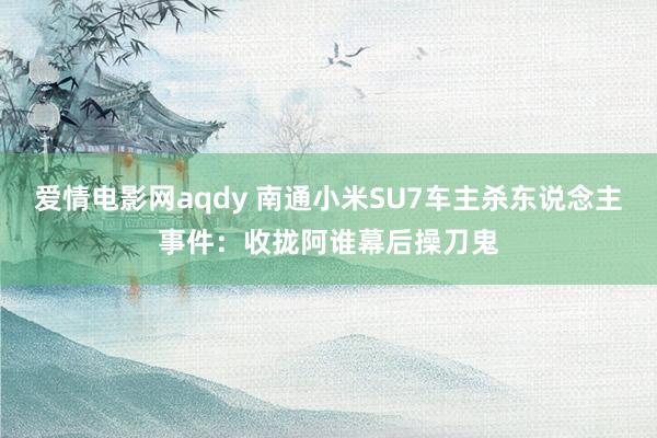 爱情电影网aqdy 南通小米SU7车主杀东说念主事件：收拢阿谁幕后操刀鬼