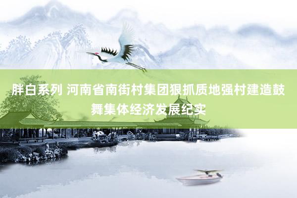 胖白系列 河南省南街村集团狠抓质地强村建造鼓舞集体经济发展纪实