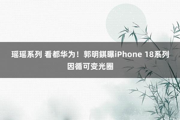 瑶瑶系列 看都华为！郭明錤曝iPhone 18系列因循可变光圈