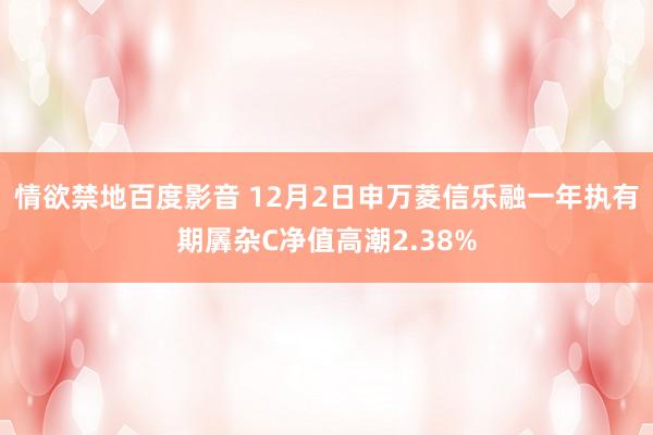 情欲禁地百度影音 12月2日申万菱信乐融一年执有期羼杂C净值高潮2.38%