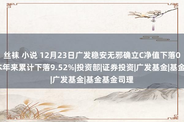 丝袜 小说 12月23日广发稳安无邪确立C净值下落0.70%，本年来累计下落9.52%|投资部|证券投资|广发基金|基金基金司理